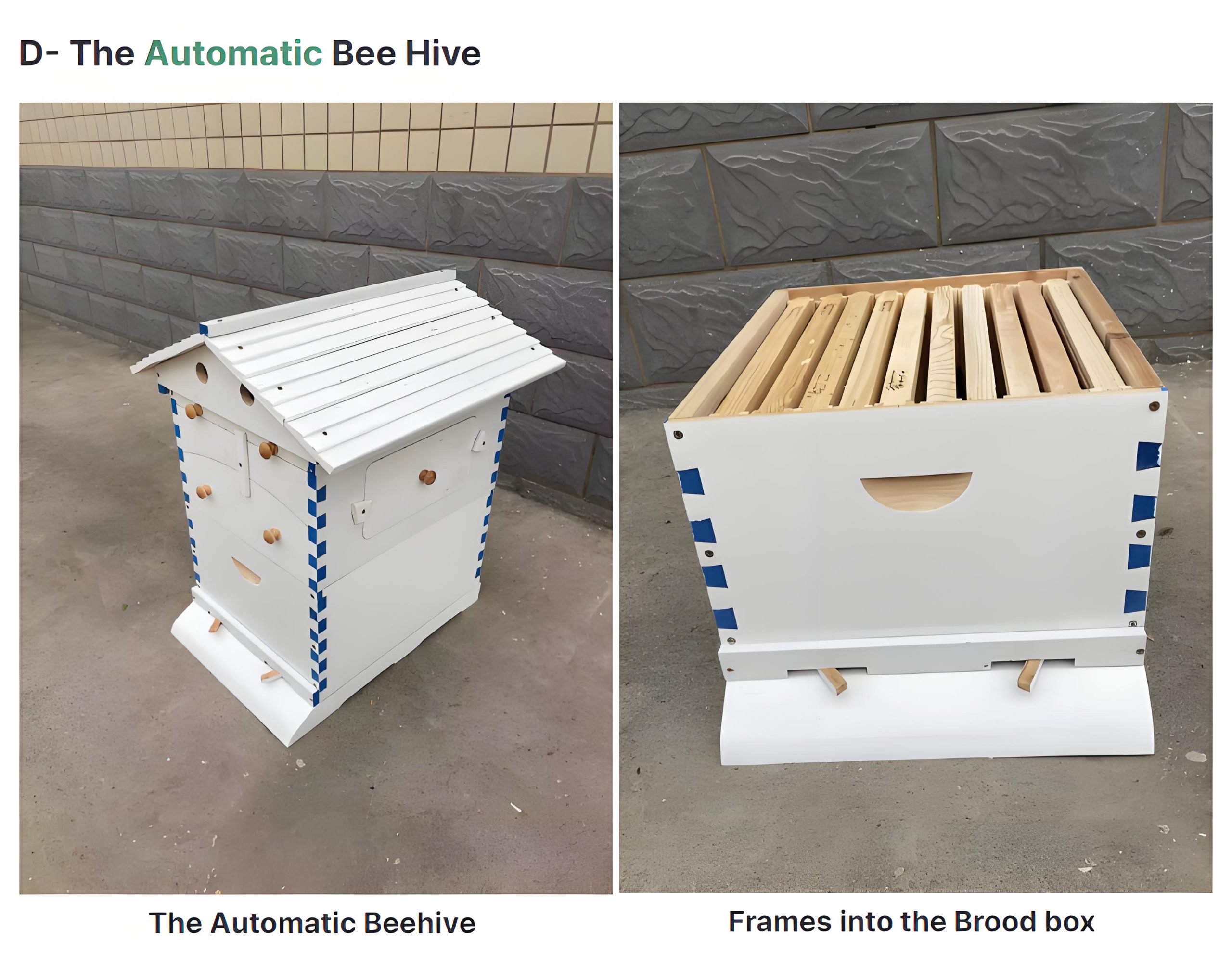 Bee Hive Frames