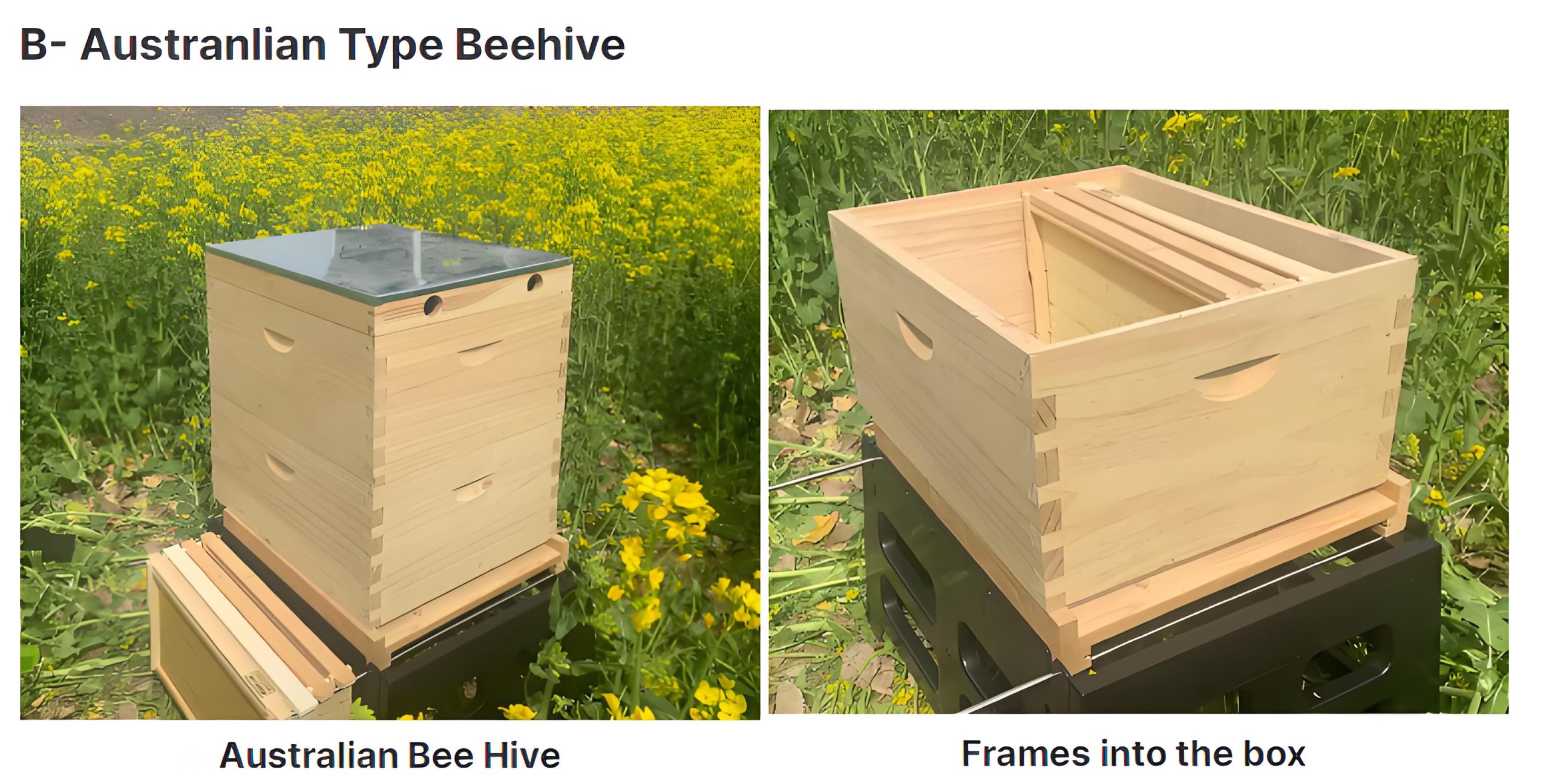 beeframes