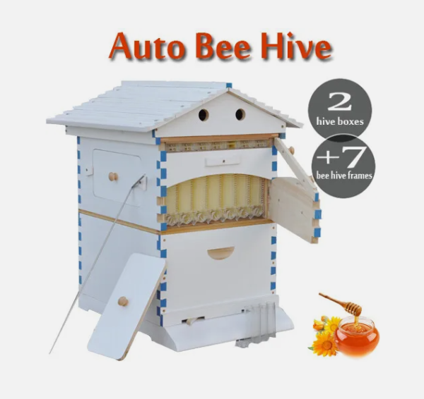 Beekeeping automatic bee hive