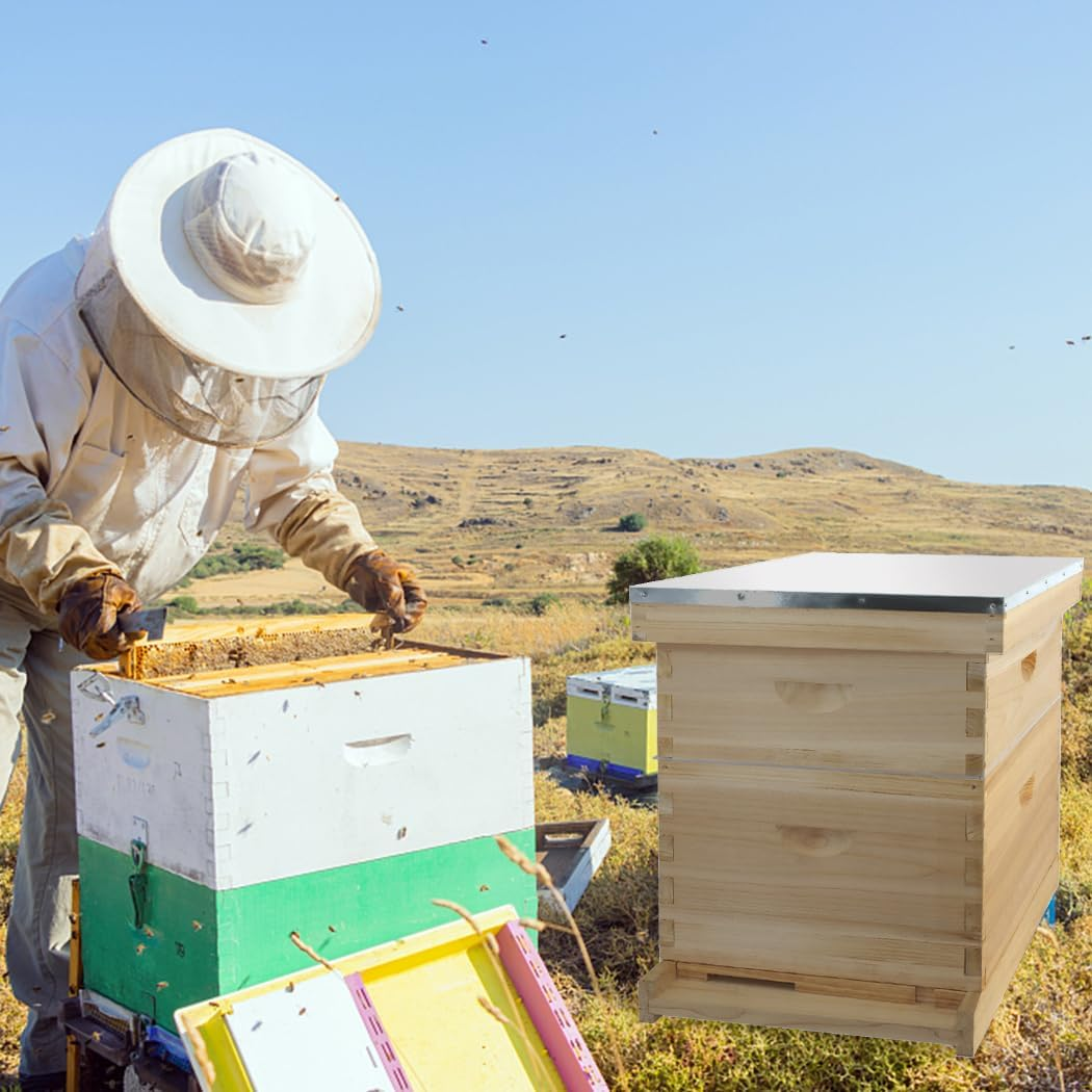 Langstroth Beehive box