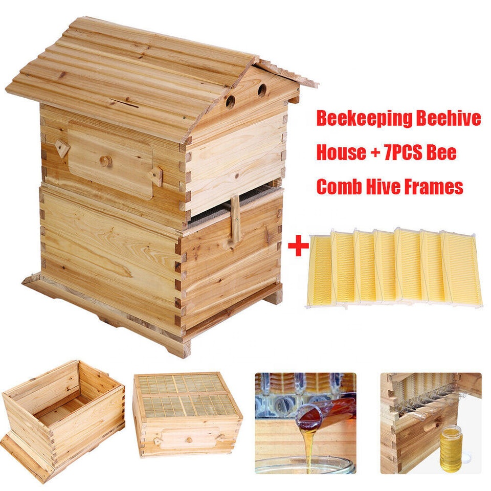 beekeeping auto flow bee hive Honey Box