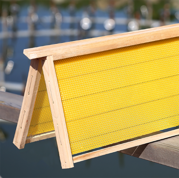 Beehive Frame