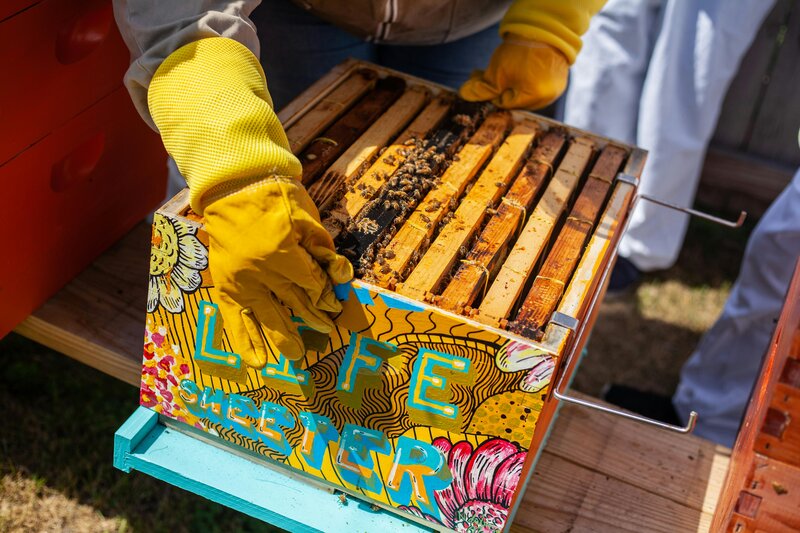 beekeeping girl