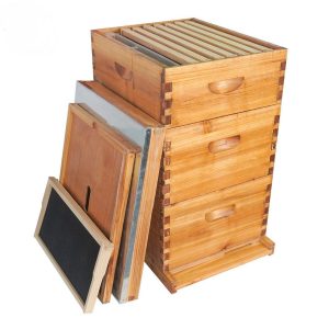 Three Tier Waxed Beehive Set 10 Frame Wax Dipped Unassembled Bee Hive