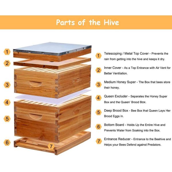 10 Frames Wax Coated Langstroth Beehive Complete Beehive Starter Kit Beehive