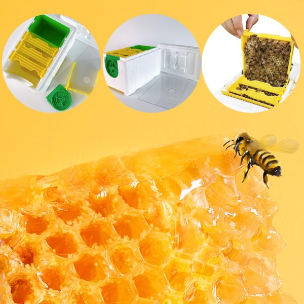 Plastic Nuc Bee Box