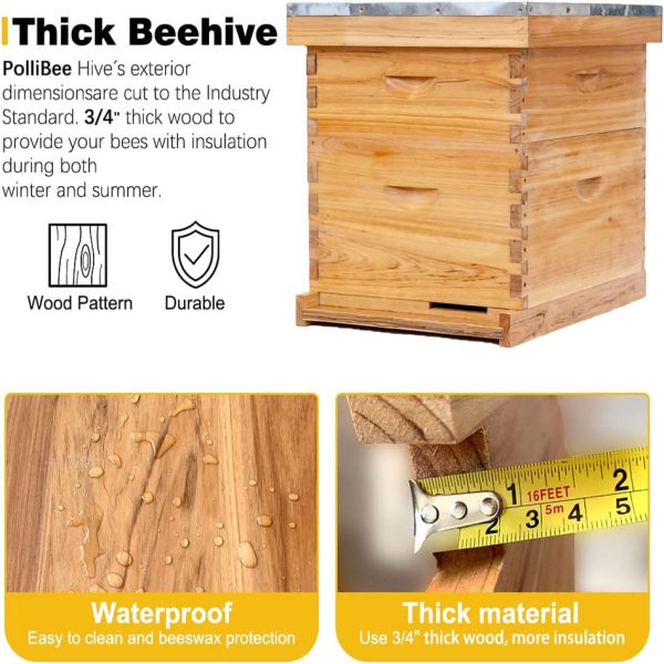 10 Frames Wax Coated Langstroth Beehive Complete Beehive Starter Kit Beehive