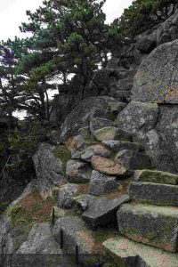 Exploring Beehive Trail A Thrilling Adventure in Acadia National Park