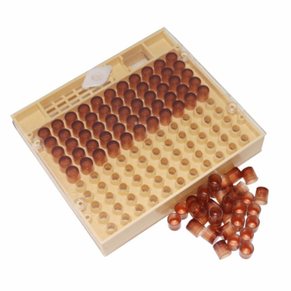 1 pcs queen rearing box 110 pcs cell cup bee rearing kits