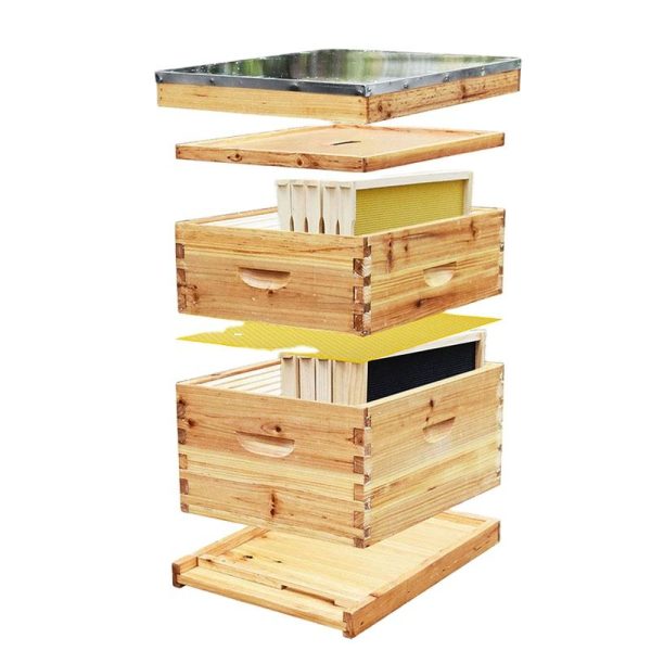 Hives for Bees Complete Set Bee Hive Kit 10 Frames Honey Bee Hive Box