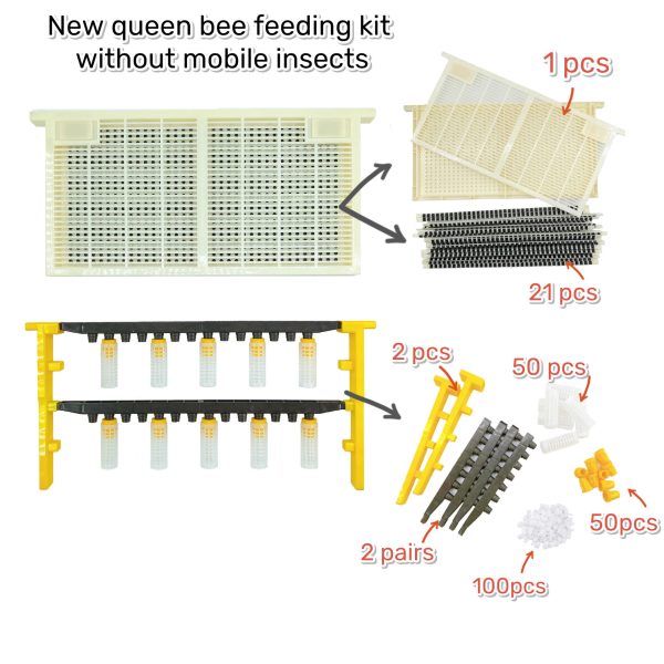 Beekeeping Tools 1 Set New Queen Cell Cups Queen Bee Feeding Kit Queen Rearing Box Cage