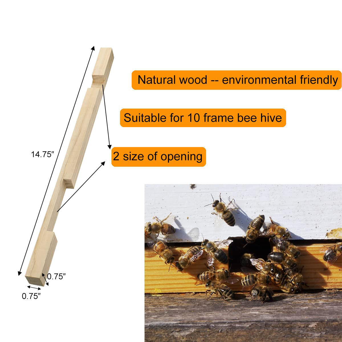 Beekeeping Supplies 10 Frame Beehive Entrance Reducer Wood Bee Hive Entrance Protector