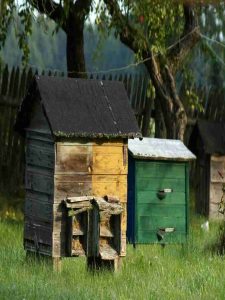 beehive for sale