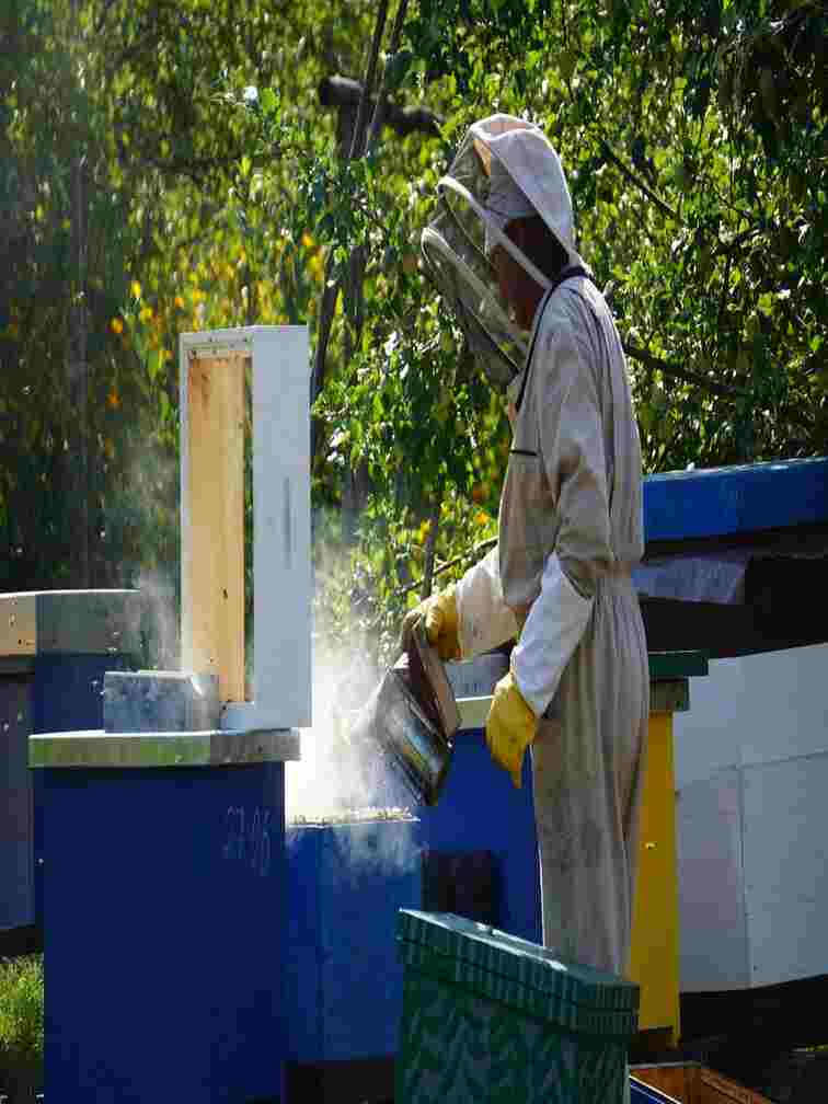 Beehive with Tap