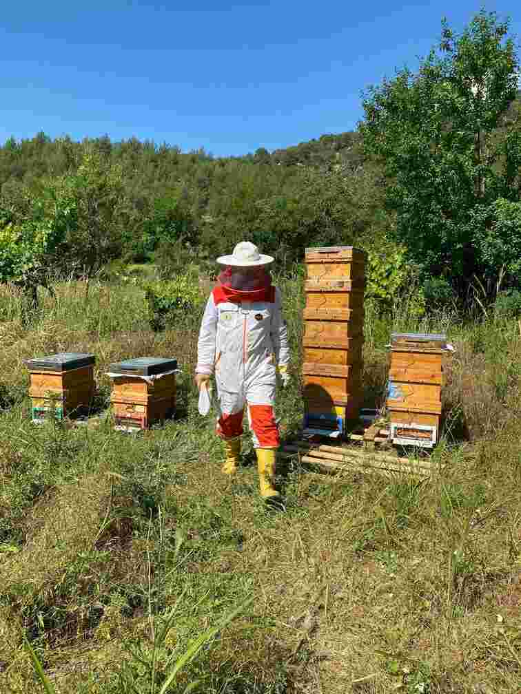 A-top-bar-beehive-displaying-its-simple-top-bar-structure-and-bee-activity.1