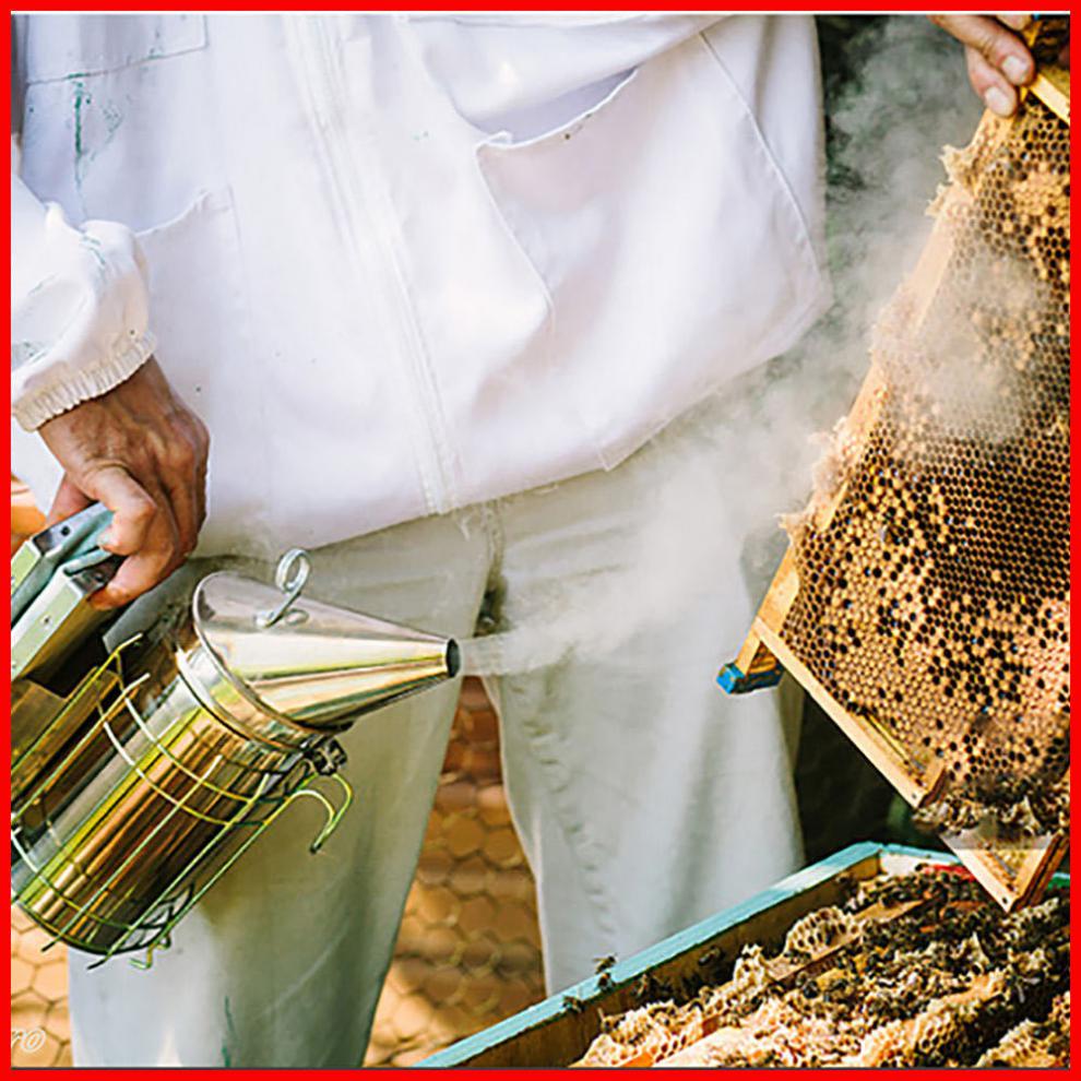 Unveiling the Beehive Smoker: Harnessing Smoke in Beekeeping