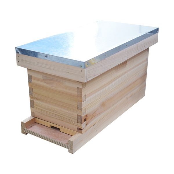 Beekeeping Equipment 5 Frames Beehive Box Wooden Bee Hive With Mesh Base NUC Beehives Box