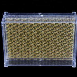 Beekeeping 250g 500g Transparent Honeycomb Box Case Honey Container Plastic Honey Cassette