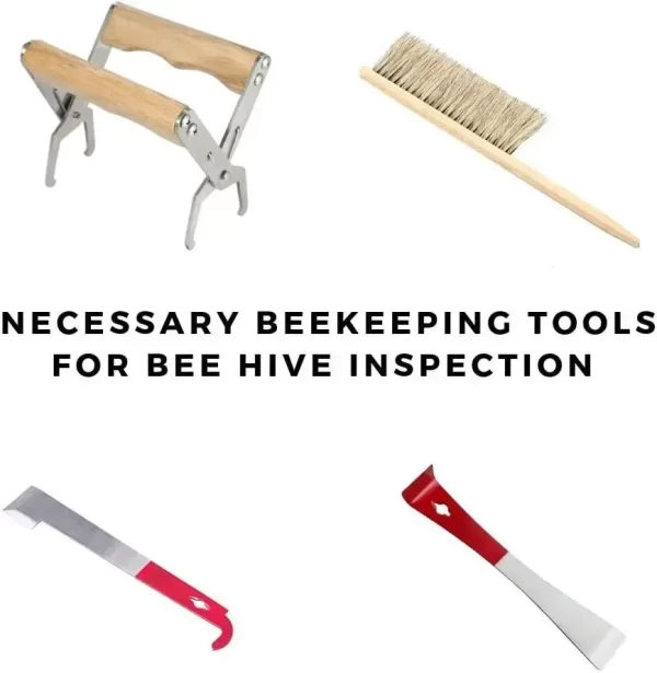 Beekeeping Tools Kit bee smoker ,hive tool ,and other Beekeeping Tools