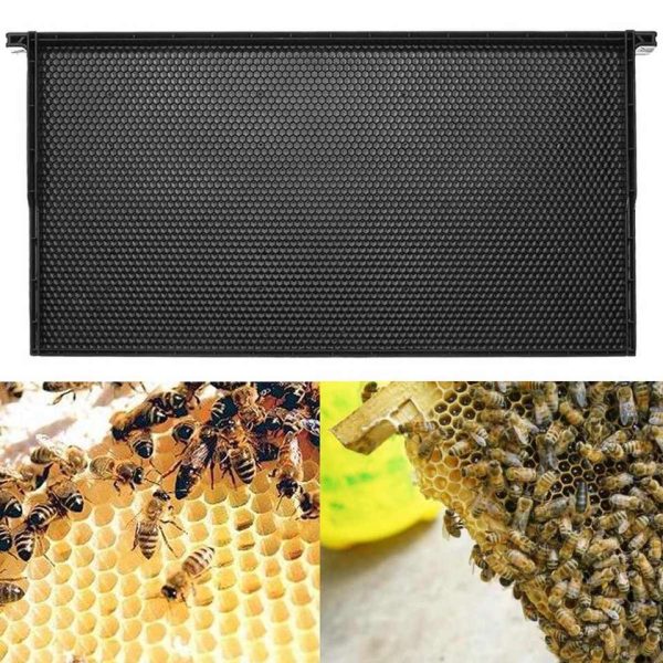 Beekeeping Equipment Black Beekeeping Frames Plastic Frame for Bee hive