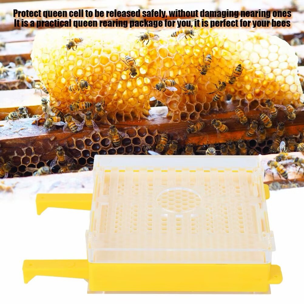 优化后的标题可以是： "Beekeeping Queen Rearing Kit with Plastic Marking Cage, Cell Cups, and Royal Jelly Cage"