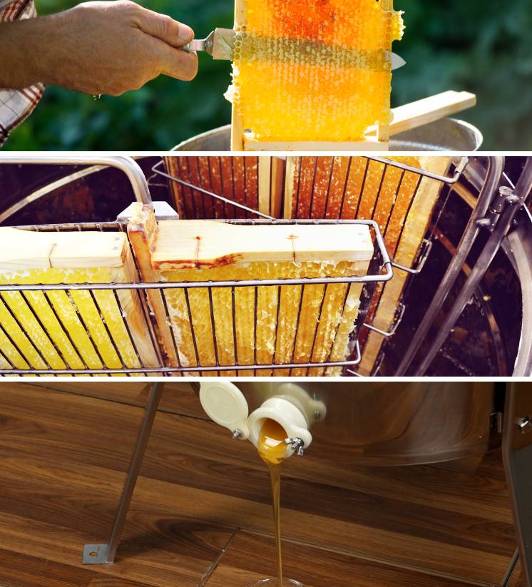 Hot sales farm beekeeping centrifugal honey for 6 frames honey extractor