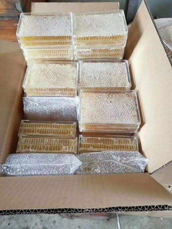 Beekeeping 250g 500g Transparent Honeycomb Box Case Honey Container Plastic Honey Cassette