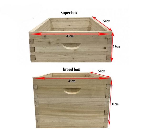 BeeBrill Unassembled Deep Hive Box Medium Honey Super Box Shallows Honey Bee Hive Box 10 Frame