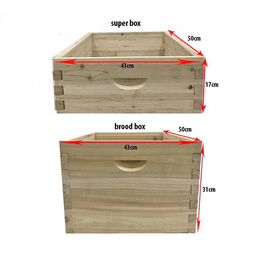 BeeBrill Unassembled Deep Hive Box Medium Honey Super Box Shallows Honey Bee Hive Box 10 Frame